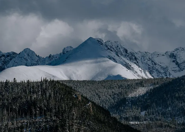 Rj Oberconiówka&spa Apartamento Zakopane