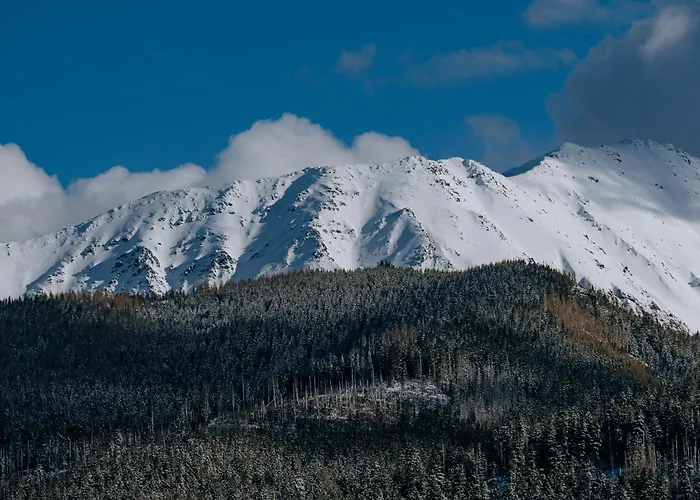 Rj Oberconiówka&spa Apartamento Zakopane